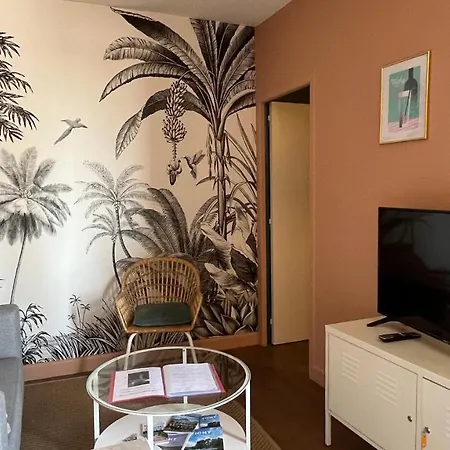 Le Centre, Spacieux Et Cosy T2 Avec Vue, Au Calme Апартаменты Виши