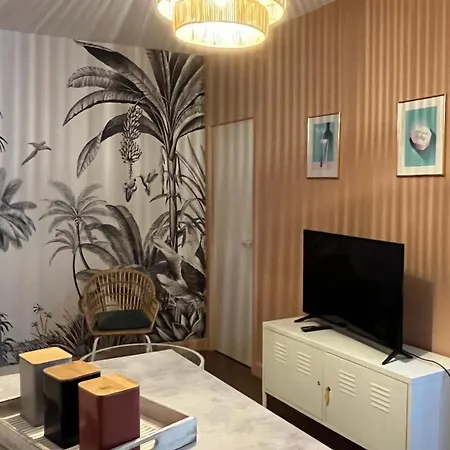Апартаменты Le Centre, Spacieux Et Cosy T2 Avec Vue, Au Calme Виши