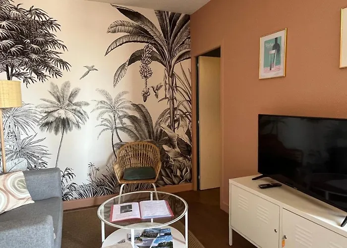 Le Centre, Spacieux Et Cosy T2 Avec Vue, Au Calme Апартаменты Виши