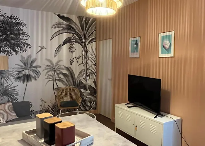 Apartamento Le Centre, Spacieux Et Cosy T2 Avec Vue, Au Calme Vichy